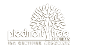 Piedmont Tree Experts